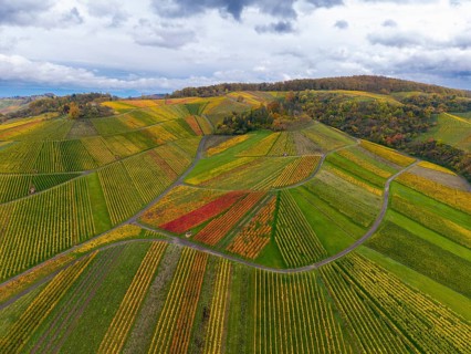 Multicoloured vines and cloudy sky over hilly landscape, autumn, near StrÃ¼mpfelbach im Remstal,