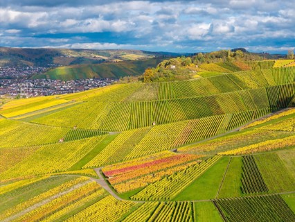 Landscape view of hills full of colorful vines with a village and clouds in the background, autumn,