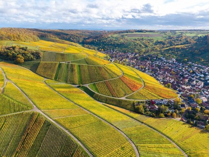 Hilly vineyards with a village on the edge and cloudy sky above, autumn, near StrÃ¼mpfelbach im