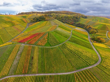 Diverse colors of the vineyards with shady skies above, autumn, near StrÃ¼mpfelbach im Remstal,