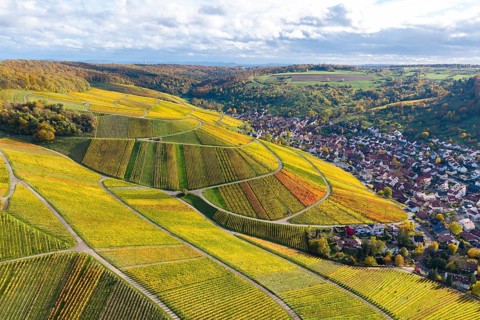 Colourful vineyards in autumn with a village in the background under a cloudy sky, autumn, near