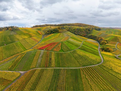 Colourful landscape with vines and clouds in the distance, autumn, near StrÃ¼mpfelbach im Remstal,