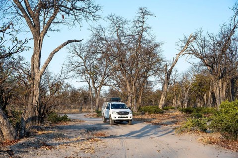 Safari car on a dust road, Moremi Game Reserve, Botswana