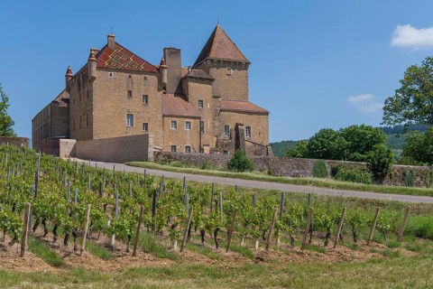 ChÃ¢teau de Pierreclos is a Romanesque castle complex in the French commune of Pierreclos in the