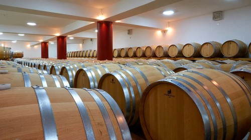 Large wine cellar with lots of wooden barrels in long rows and red columns in a well-lit room,