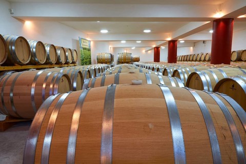 Long wine cellar with numerous wooden barrels and red columns, well lit, Papaioannou winery, Nemea