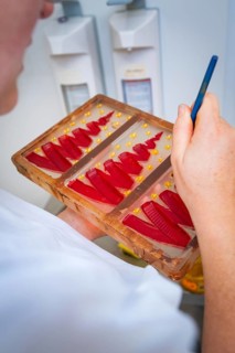 Someone paints red, decorative forms in a chocolate mold, Christmas baking, Haselstaller Hof,