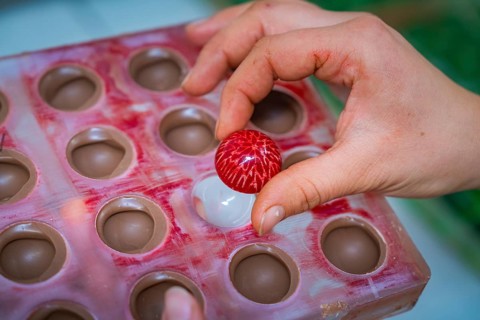 Hand picks red chocolate candy with white stripes from a chocolate mold, Christmas baking,