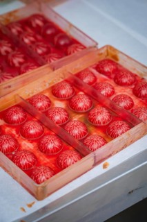 Red balls with white pattern lie in shaped individual compartments, Christmas baking, Haselstaller