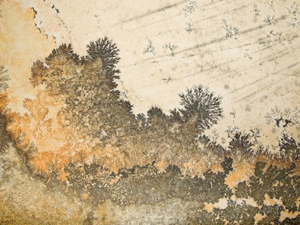 Orange and gray dendrites on light rock, skeletal crystals with fine branches, plant-like crystal