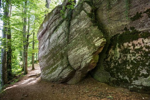 Hiking trail and rocks, Mont Sainte-Odile Abbey, Ottrott, Bas-Rhin Department, Alsace, France
