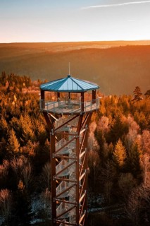 Close-up of observation tower over autumn-colored forest at sunrise, Hohe Warte observation tower,