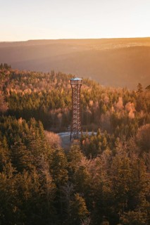 A tower towers over the misty, autumnal forests in the morning light, Hohe Warte observation tower,