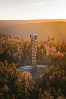 Slender observation tower rises above autumnal forest in evening light, Hohe Warte observation