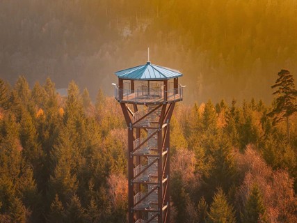 Observation tower surrounded by autumn trees in the soft light of sunset, Hohe Warte observation