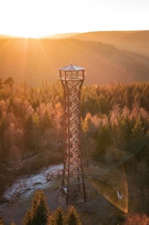 A sunrise casts golden light on an observation tower and forest, Hohe Warte observation tower,