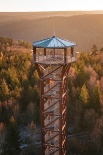 Wooden observation tower above an autumnal forest in the warm light of sunset, Hohe Warte
