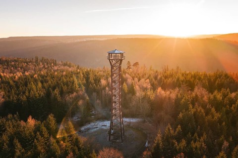 Sunlight breaks through trees, illuminates an observation tower, Hohe Warte observation tower,