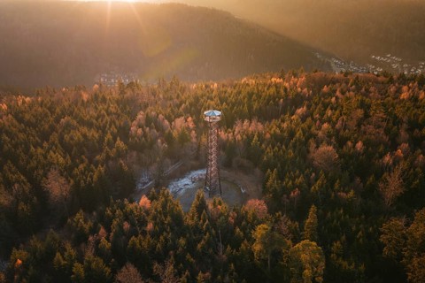 Observation tower at dusk, nestled in autumnal forests on a hill, Hohe Warte observation tower,