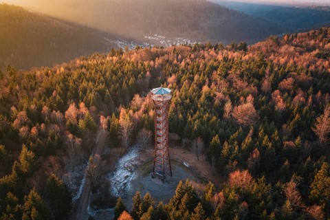 High observation tower in the middle of a thick, autumnal forest viewed from afar, Hohe Warte