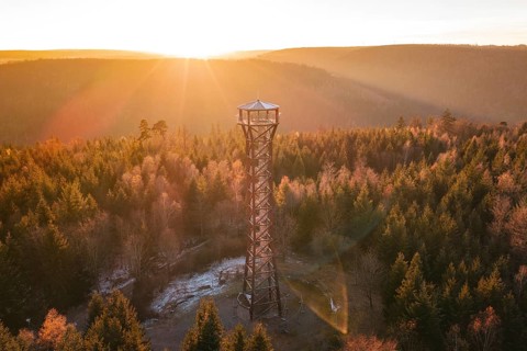 A high observation tower overlooks the autumnal forest at sunrise, Hohe Warte observation tower,