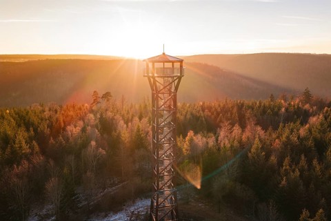 An isolated observation tower overlooks an autumnal forest in first light, Hohe Warte observation