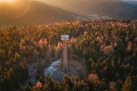 A high observation tower stands in the middle of a forest with autumn trees, Hohe Warte observation
