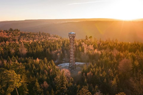 Observation tower overlooks a vast, autumnal forest under a gentle evening sky, Hohe Warte