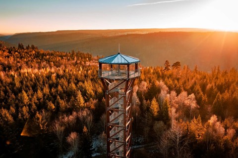 Observation tower stands in front of a wonderful panoramic view of autumnal forest in sunlight,
