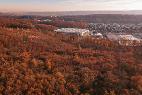 An extensive autumn forest with an industrial plant on the edge of the hill range, MÃ¼hlacker,