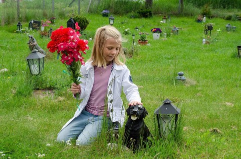 Grieving blonde 7-year-old girl at her dog's grave at pet cemetery in Ystad, SkÃ¥ne County, Sweden,