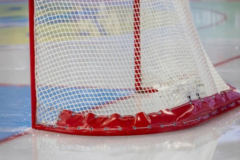 Ice hockey icon: close-up of an ice hockey goal