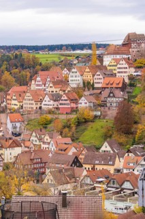 Idyllic city view with half-timbered houses on a hill surrounded by autumn leaves and cloudy sky,