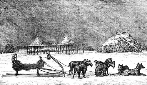 Dog sledding on the Kamchatka peninsula, sled dogs, husky with harness, cold climate, ice, snow,