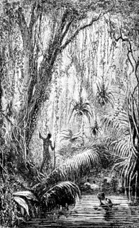 Indigenous and European researcher in the Brazilian jungle, river, inner tropics, tropical