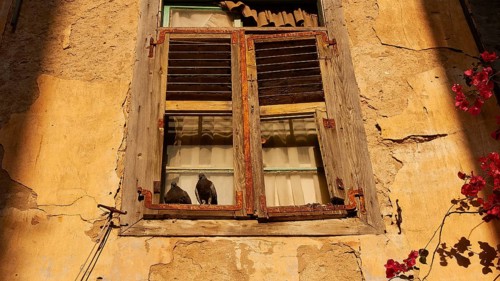 Old town of Nauplion, Two doves sitting on a sunlit window sill of an old faÃ§ade, Nauplion,