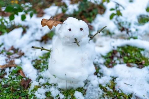Small snowman standing in the forest, created from fresh white snow with stick arms, tiny twig