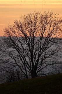 Landscape on an evening in autumn, November, Germany