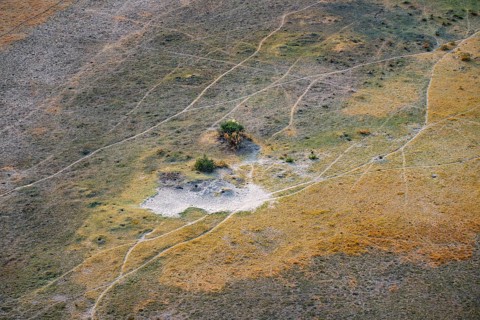 Paths, trails in the countryside, animal trails Aerial view of the Okavango Delta, near Maun,