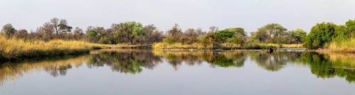 Panorama, landscape on the Kavango River, Zambezi region, Caprivi Strip, Namibia