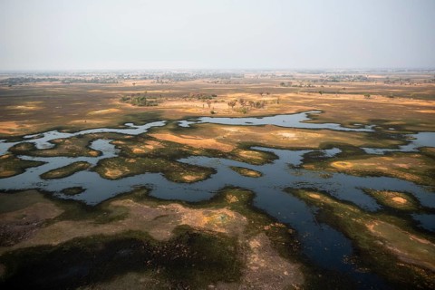 Wetland, landscape, aerial view of the Okavango Delta, near Maun, Okavango Delta, Botswana