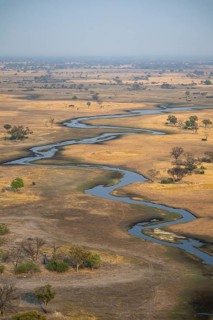 Wetland, landscape, aerial view of the Okavango Delta, near Maun, Okavango Delta, Botswana