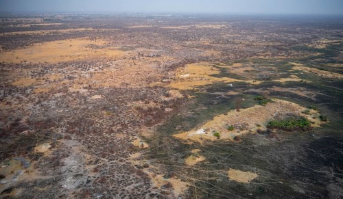 Dry season, structure and pattern of trails, burnt landscape, aerial view of the Okavango Delta,