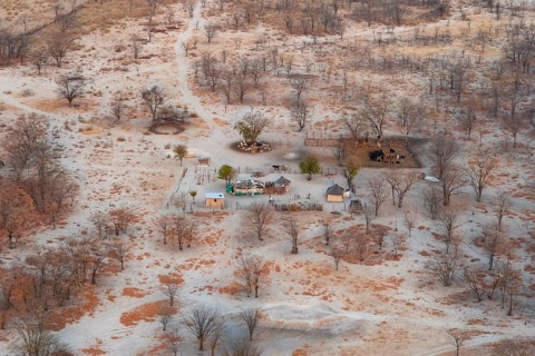 Settlement, simple house and fence, dry savanna landscape, near Maun, aerial view, Okavango Delta,