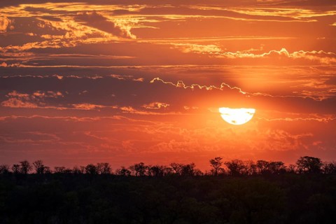 Impressive sunset over the African savanna, silhouette of the horizon with trees in front of the