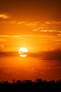 Impressive sunset over the African savanna, silhouette of the horizon with trees in front of the