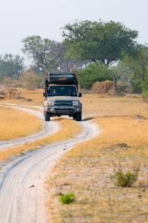 Off-road car, safari car driving on dust road, Third Bridge, Okavango Delta, Moremi Game Reserve,