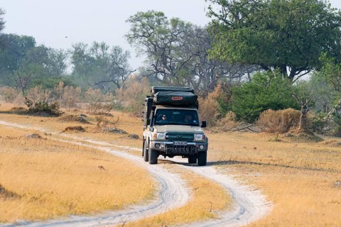 Off-road car, safari car driving on dust road, Third Bridge, Okavango Delta, Moremi Game Reserve,