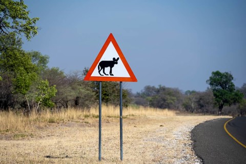 Street sign, attention hyena, funny, Botswana