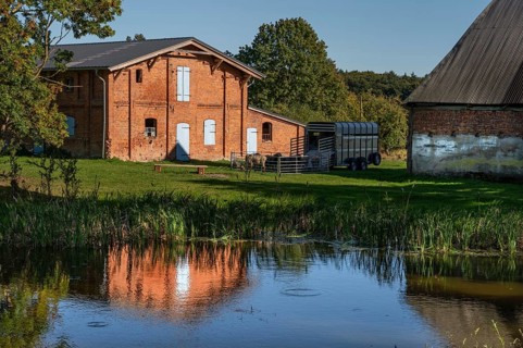 Manor with pond and pigsty from 1921, prefabricated sheep, Othenstorf, Mecklenburg-Western